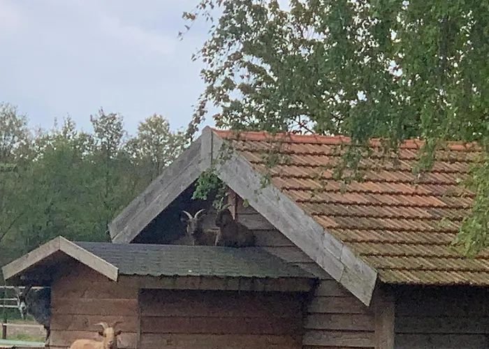 Sams Cottage